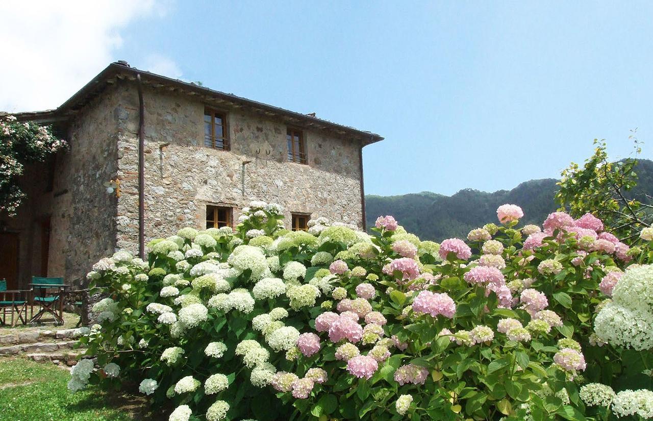 Villa Bottino By Salogi Villas San Martino in Freddana Eksteriør bilde
